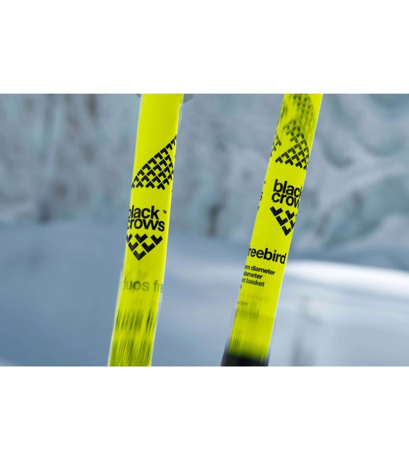 Ski Poles
